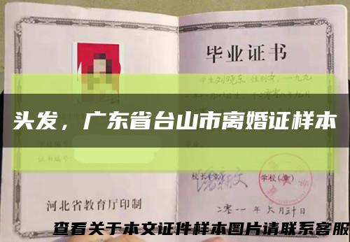 头发，广东省台山市离婚证样本缩略图