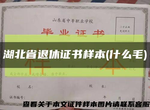 湖北省退休证书样本(什么毛)缩略图