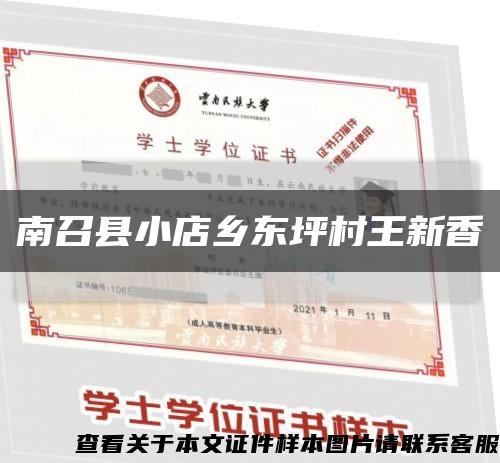 南召县小店乡东坪村王新香缩略图