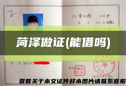 菏泽做证(能借吗)缩略图