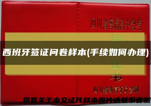 西班牙签证问卷样本(手续如何办理)缩略图