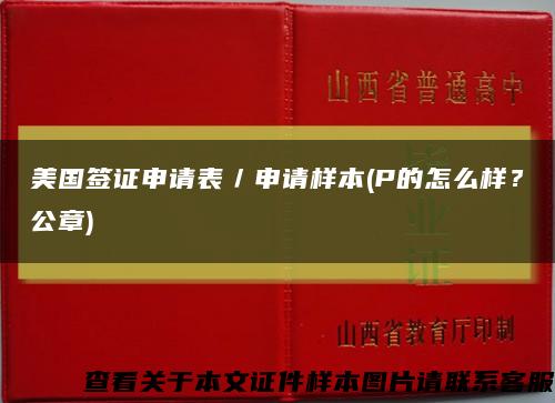 美国签证申请表／申请样本(P的怎么样？公章)缩略图