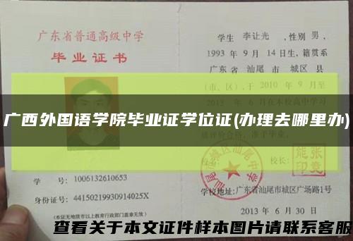 广西外国语学院毕业证学位证(办理去哪里办)缩略图