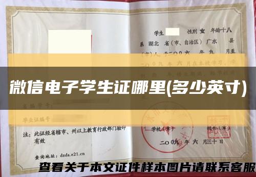 微信电子学生证哪里(多少英寸)缩略图