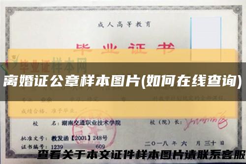 离婚证公章样本图片(如何在线查询)缩略图