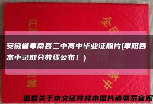 安徽省阜南县二中高中毕业证照片(阜阳各高中录取分数线公布！)缩略图