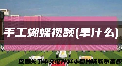 手工蝴蝶视频(拿什么)缩略图