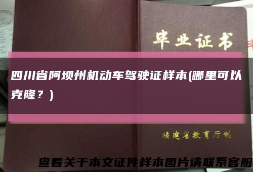四川省阿坝州机动车驾驶证样本(哪里可以克隆？)缩略图