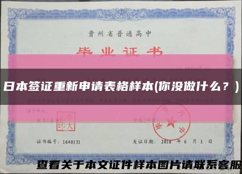 日本签证重新申请表格样本(你没做什么？)缩略图