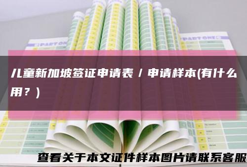 儿童新加坡签证申请表／申请样本(有什么用？)缩略图