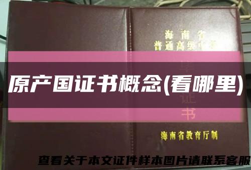 原产国证书概念(看哪里)缩略图