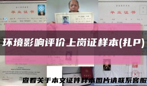 环境影响评价上岗证样本(扎P)缩略图