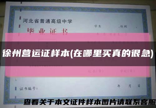 徐州营运证样本(在哪里买真的很急)缩略图