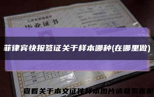菲律宾快报签证关于样本哪种(在哪里做)缩略图