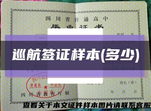 巡航签证样本(多少)缩略图