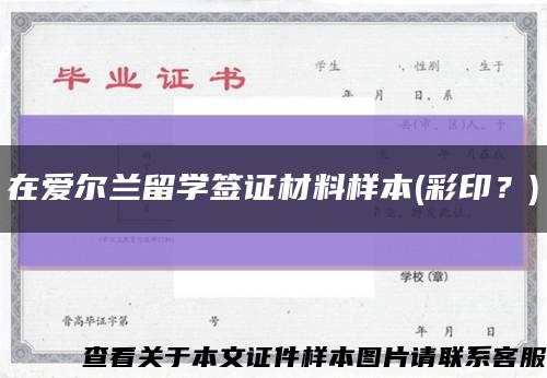在爱尔兰留学签证材料样本(彩印？)缩略图