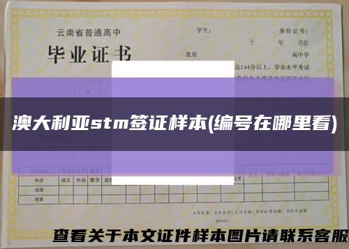 澳大利亚stm签证样本(编号在哪里看)缩略图