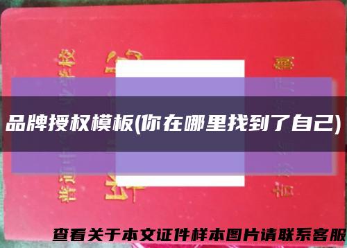 品牌授权模板(你在哪里找到了自己)缩略图