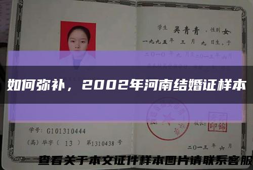 如何弥补，2002年河南结婚证样本缩略图