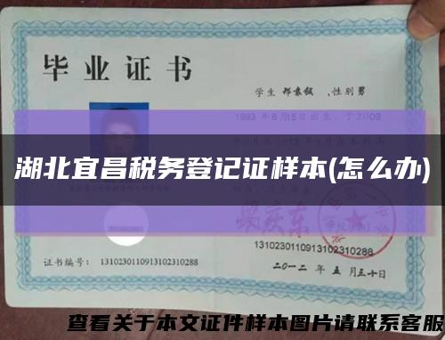 湖北宜昌税务登记证样本(怎么办)缩略图