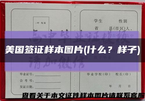 美国签证样本图片(什么？样子)缩略图
