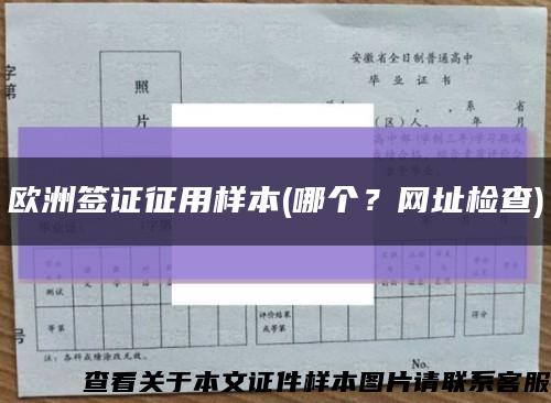 欧洲签证征用样本(哪个？网址检查)缩略图