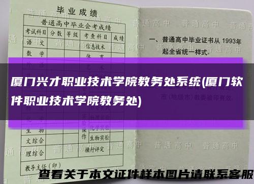 厦门兴才职业技术学院教务处系统(厦门软件职业技术学院教务处)缩略图