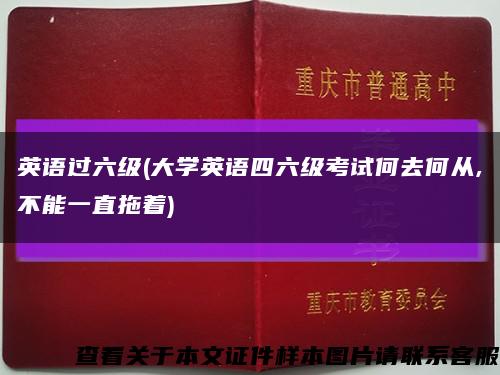 英语过六级(大学英语四六级考试何去何从,不能一直拖着)缩略图