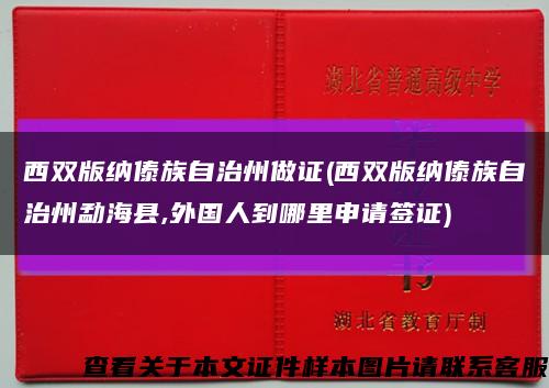 西双版纳傣族自治州做证(西双版纳傣族自治州勐海县,外国人到哪里申请签证)缩略图