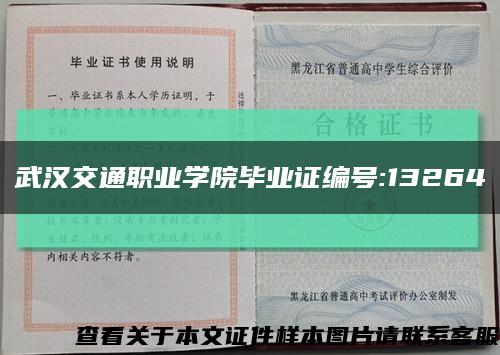 武汉交通职业学院毕业证编号:13264缩略图