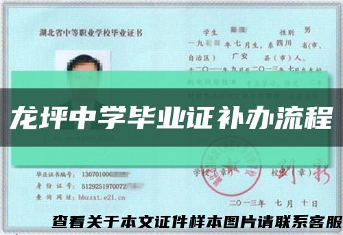 龙坪中学毕业证补办流程缩略图