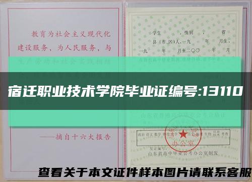 宿迁职业技术学院毕业证编号:13110缩略图
