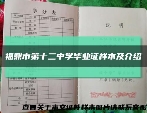福鼎市第十二中学毕业证样本及介绍缩略图