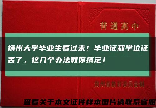 扬州大学毕业生看过来！毕业证和学位证丢了，这几个办法教你搞定！缩略图