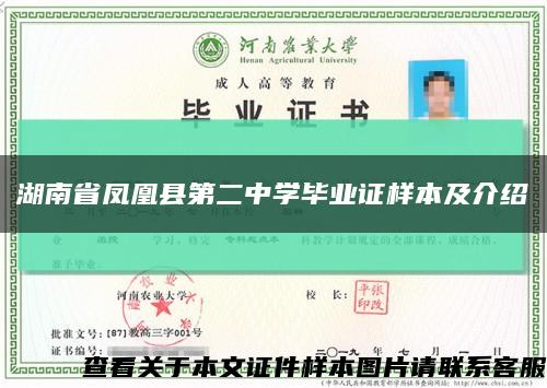 湖南省凤凰县第二中学毕业证样本及介绍缩略图