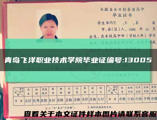 青岛飞洋职业技术学院毕业证编号:13005缩略图