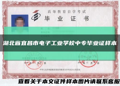 湖北省宜昌市电子工业学校中专毕业证样本缩略图