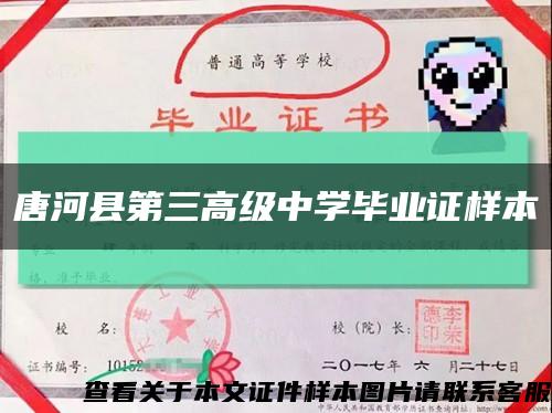 唐河县第三高级中学毕业证样本缩略图