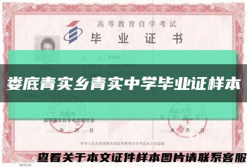 娄底青实乡青实中学毕业证样本缩略图