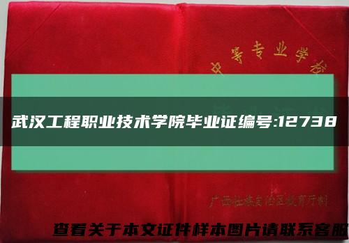 武汉工程职业技术学院毕业证编号:12738缩略图