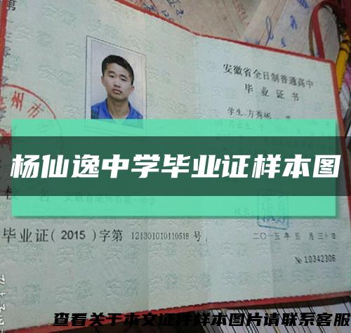杨仙逸中学毕业证样本图缩略图
