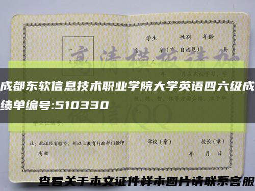 成都东软信息技术职业学院大学英语四六级成绩单编号:510330缩略图