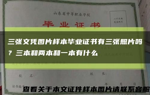 三张文凭图片样本毕业证书有三张照片吗？三本和两本和一本有什么缩略图
