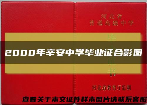 2000年辛安中学毕业证合影图缩略图