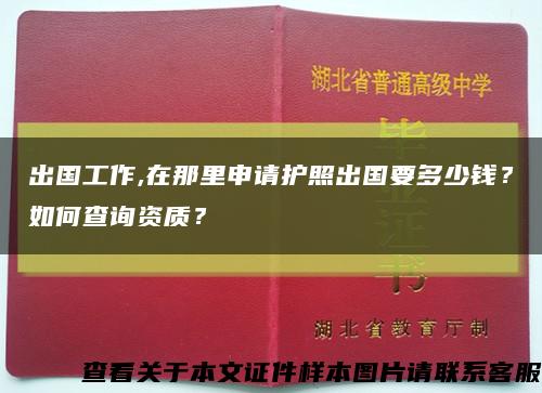 出国工作,在那里申请护照出国要多少钱？如何查询资质？缩略图