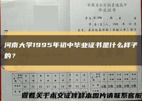 河南大学1995年初中毕业证书是什么样子的？缩略图