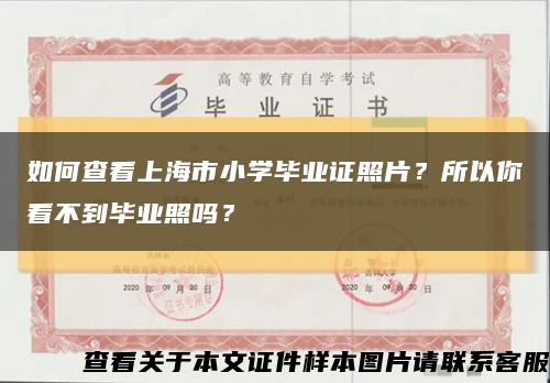 如何查看上海市小学毕业证照片？所以你看不到毕业照吗？缩略图