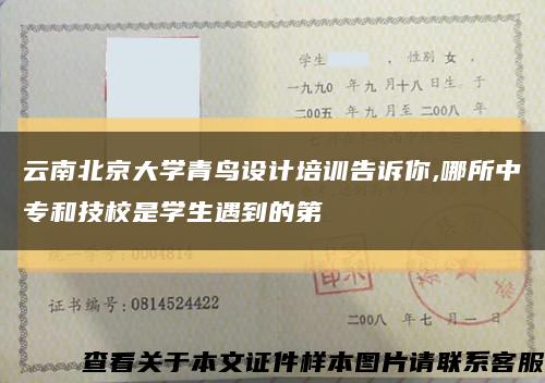 云南北京大学青鸟设计培训告诉你,哪所中专和技校是学生遇到的第缩略图