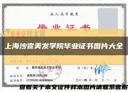上海沙宣美发学院毕业证书图片大全缩略图