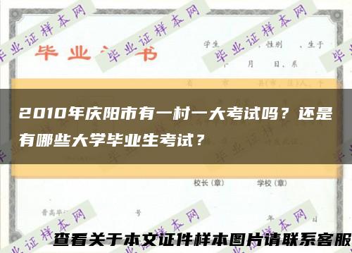 2010年庆阳市有一村一大考试吗？还是有哪些大学毕业生考试？缩略图